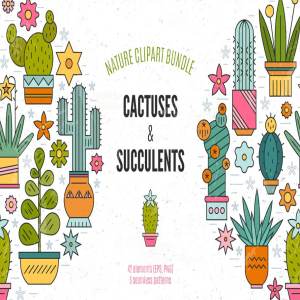 仙人掌多肉盆栽植物插画素材 Succulent Clipart & Patterns Bundle