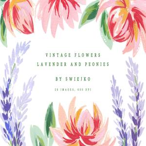 古典手绘牡丹薰衣草插画素材 Lavender & Peonies, vintage flowers