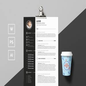 个人简历模板下载 Professional Resume/CV