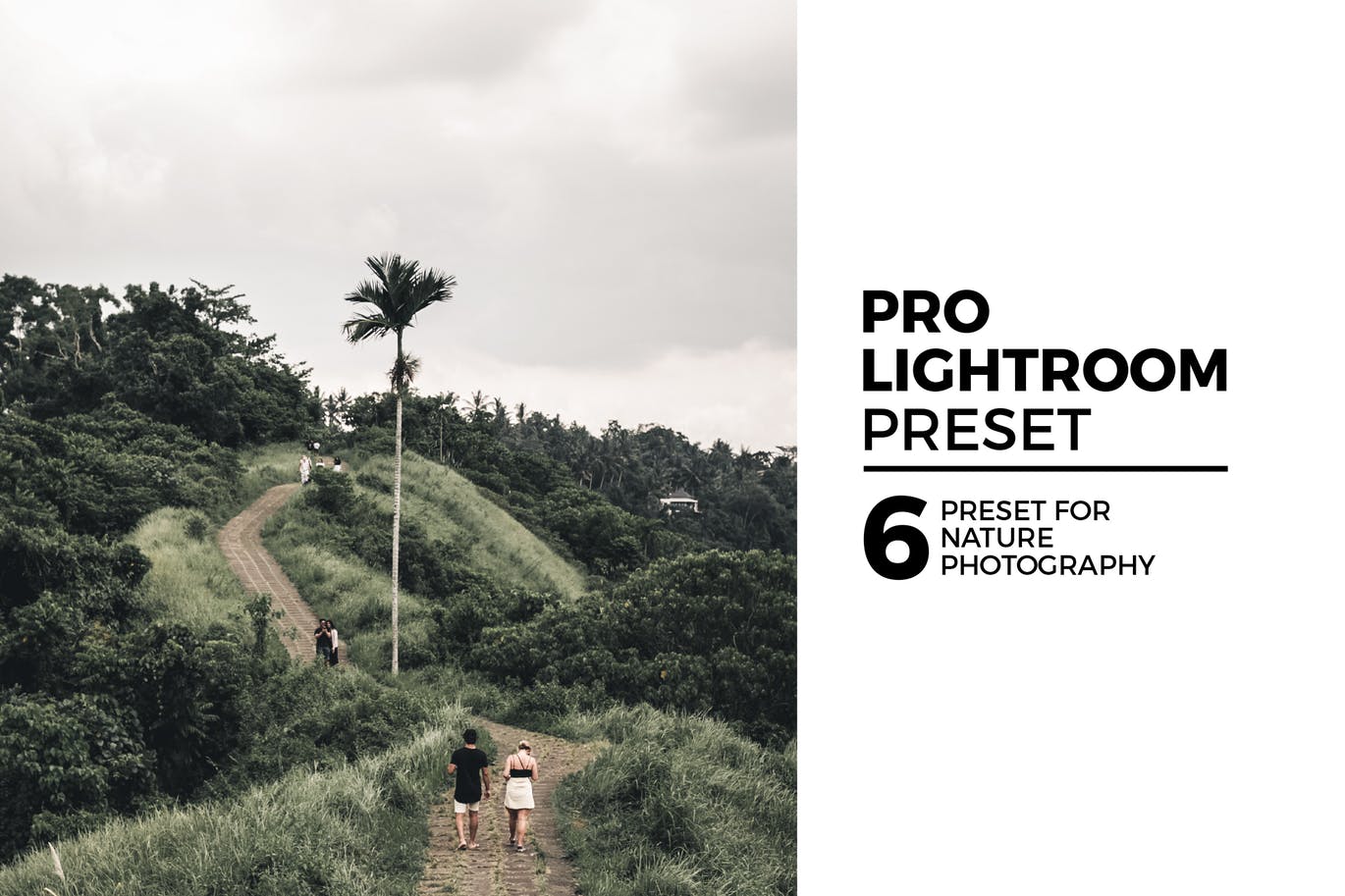 6个自然风景摄影后期处理调色滤镜LR预设 6 Nature Lightroom Preset