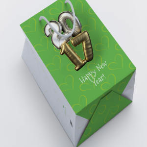 品牌专卖店购物袋设计样机模板04 Shopping Bag Mockup 04