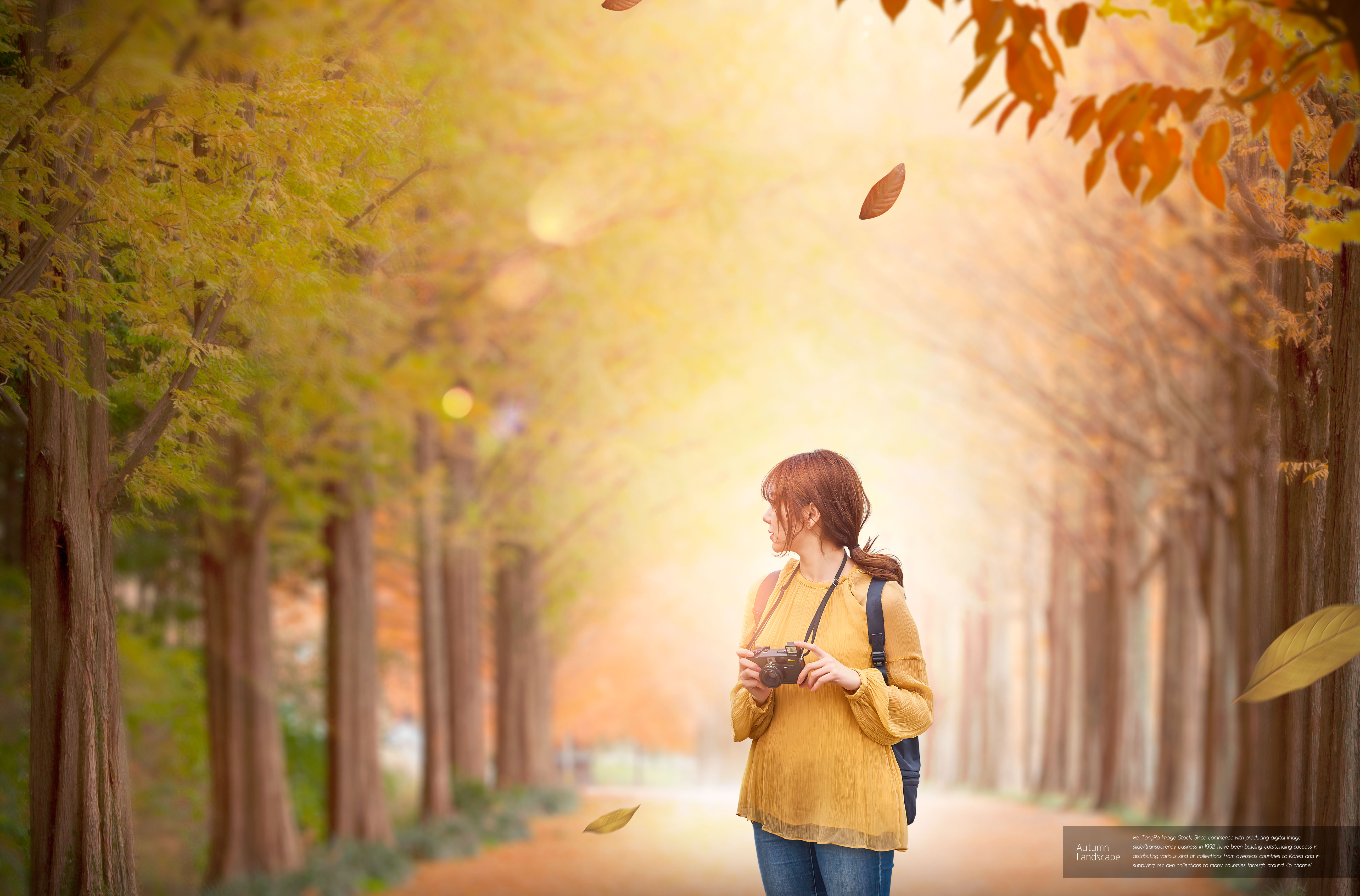 秋季景色旅行主题海报图片素材[PSD]