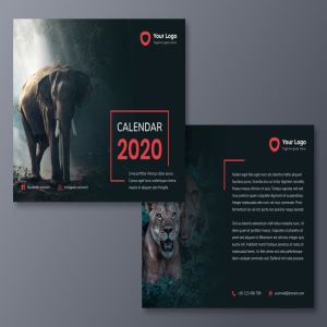 动物摄影主题2020款活页日历设计模板 Calendar 2020插图3