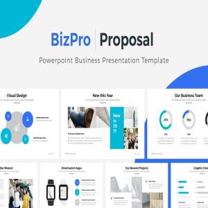 商务项目招标投标竞标PPT幻灯片模板 BizPro. Powerpoint Business Template