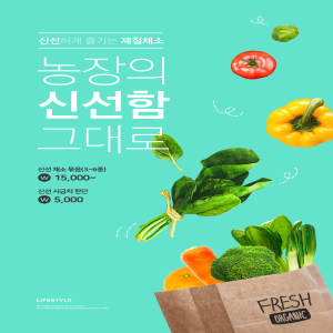 有机蔬菜新鲜水果促销广告海报模板