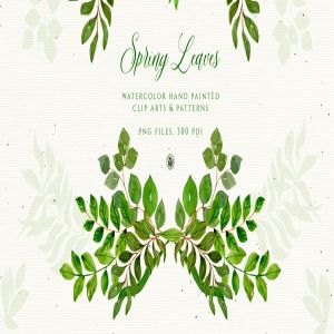 春天水彩手绘树叶图案素材 Spring Leaves