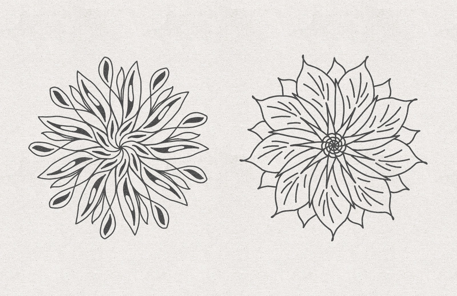 矢量花卉素材 Vector Floral Radial Illustrations [AI, SVG]
