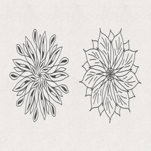 矢量花卉素材 Vector Floral Radial Illustrations [AI, SVG]