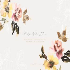 柔和优雅的水墨花朵矢量插画系列 Vintage Water Blooms