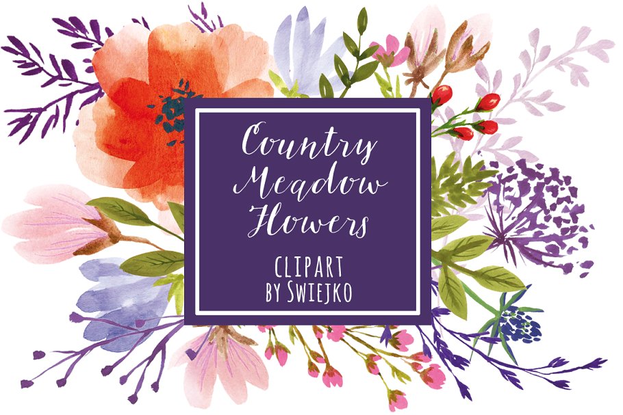 浪漫手绘水彩草甸花设计插画 Watercolor Meadow Flowers