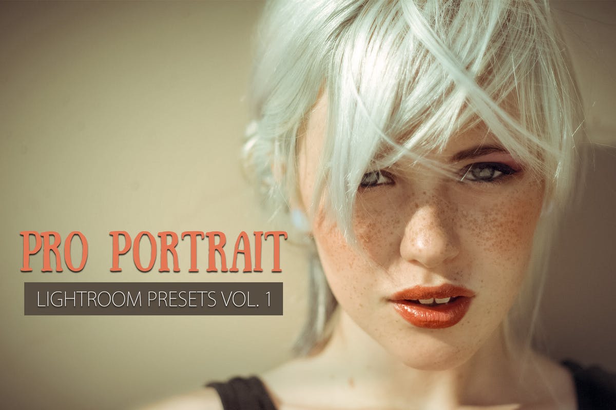 10款人像摄影后期调色滤镜LR预设 10 Portrait Lightroom Presets Ver. 1