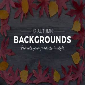 秋天落叶巨无霸Banner场景样机背景 Autumn leaves background mockups