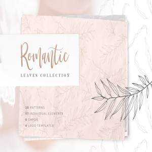 浪漫手绘色彩落叶树枝元素 Hand drawn Leaves Collection