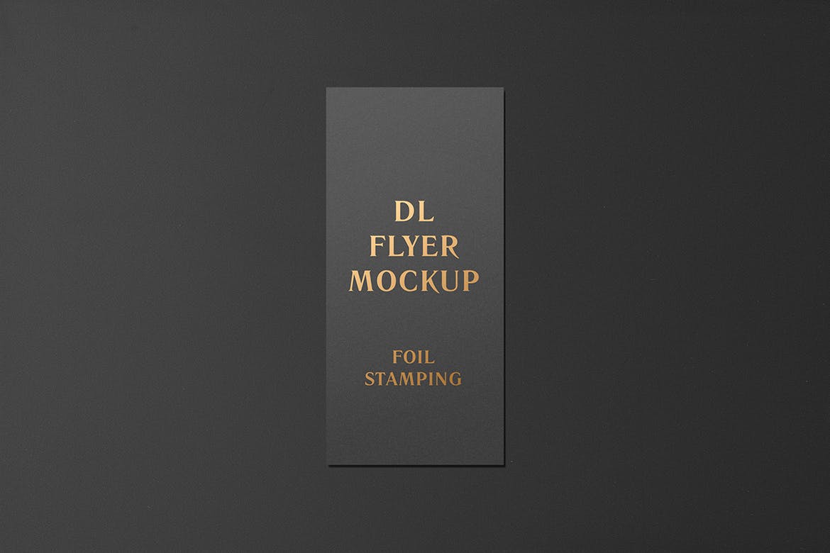 高端逼真质感得DL传单名片铝箔冲压特殊工艺VI样机展示模型mockups