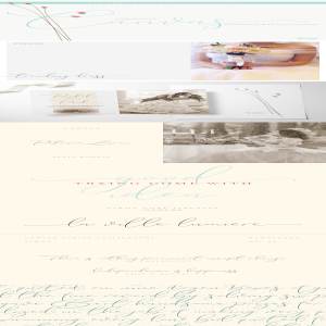 飘逸优雅手写字体Canvas Pointed Script