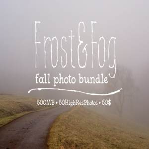霜降和大雾高清照片合集 Frost&Fog Photo Bundle