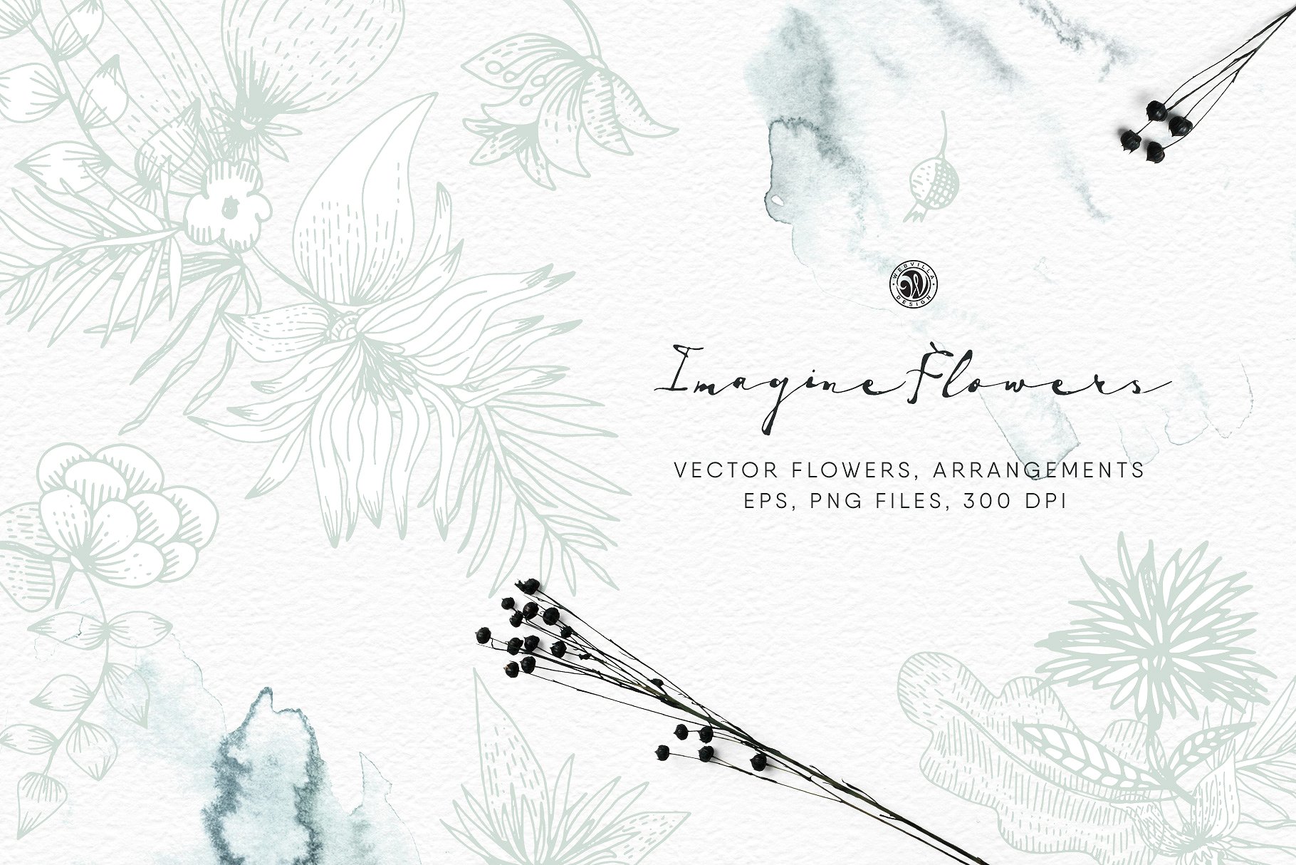 手工花卉插图 Imagine Flowers