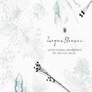 手工花卉插图 Imagine Flowers