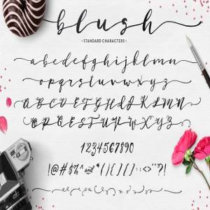 英文草书字体&手绘水彩纹理/Logo模板 Blush Typeface + Logo Kit (AI)插图5
