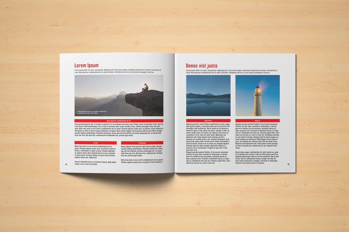 画册目录手册样机模板 Square Brochure / Catalogue Mock-Up