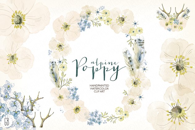 落基山罂粟花环水彩插画 Watercolor alpine poppy wreath