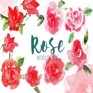 血红色水彩玫瑰花剪贴画 Red Rose. Watercolor clip art