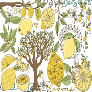 新鲜夏天柠檬插图合集 Lemons, Summer Fruit Illustrations