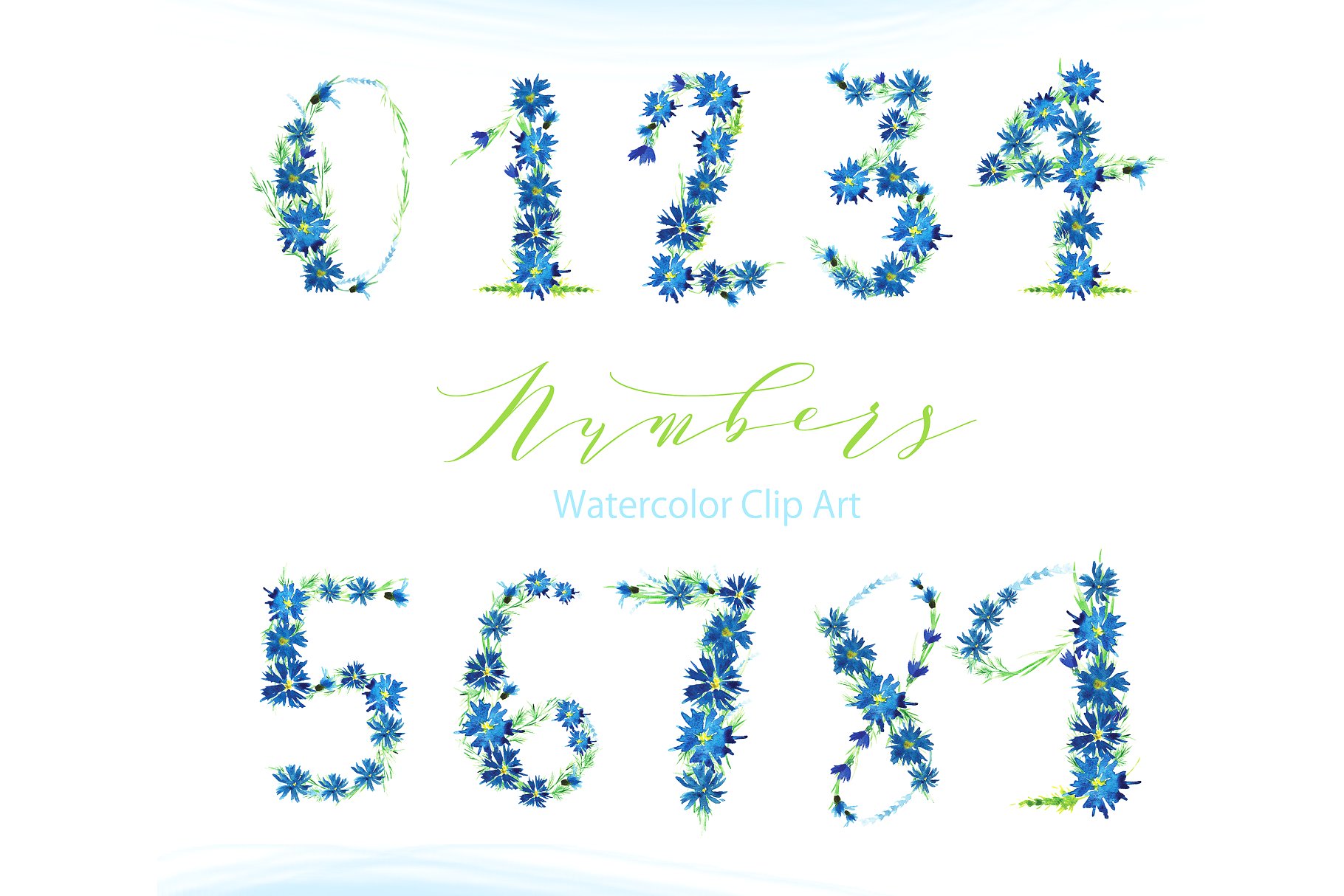 浪漫乡村手绘蓝色矢车菊数字水彩画 Cornflower number watercolor clipart