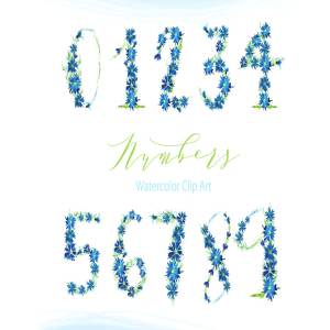 浪漫乡村手绘蓝色矢车菊数字水彩画 Cornflower number watercolor clipart
