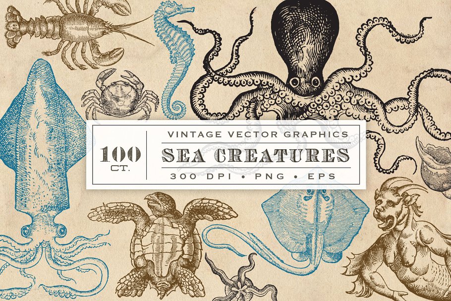海洋生物旧书插画集 Antique Sea Creatures & Monsters