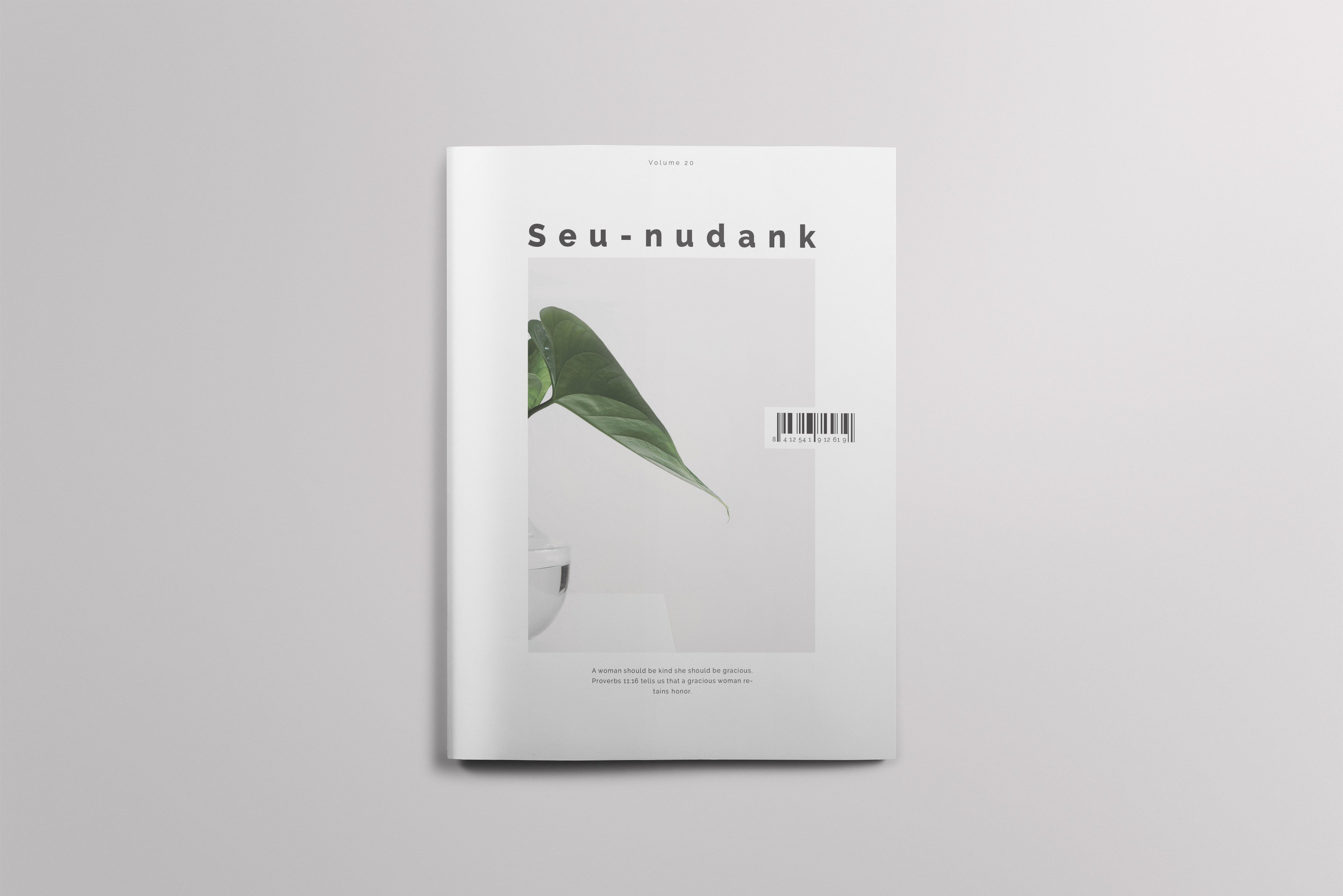 简约、时尚风格的杂志模板