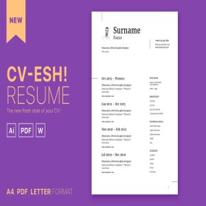 极简主义的个人求职简历模板 CV-esh!