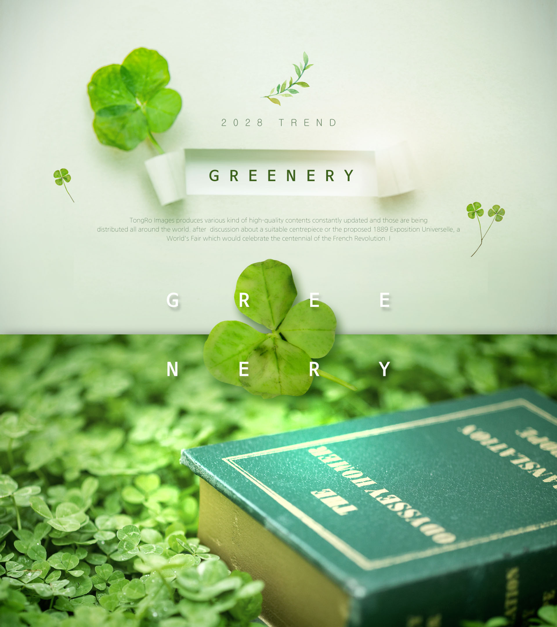 春夏绿色主题海报模板PSD下载