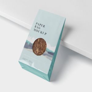购物纸袋专卖店购物袋外观设计样机 Paper Bag Mockup