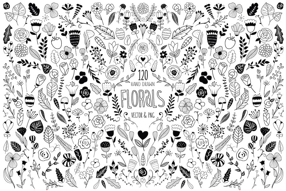 120款美丽的手绘花卉设计元素 120 Hand Drawn Florals Vector & PNG