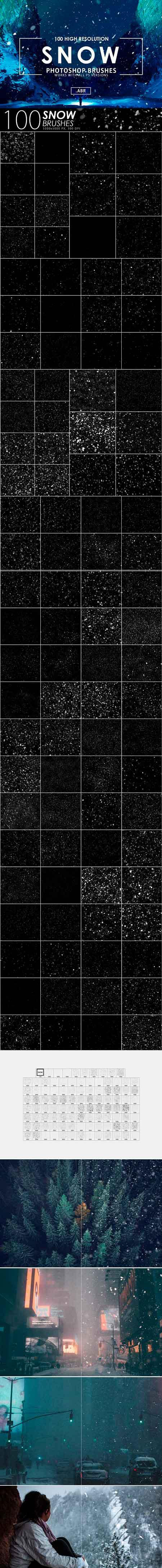 100个逼真雪花的PS笔刷 100 Snow Photoshop Brushes [abr]