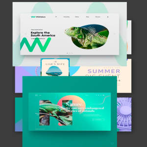 夏季主题网站着陆页&Banner设计模板