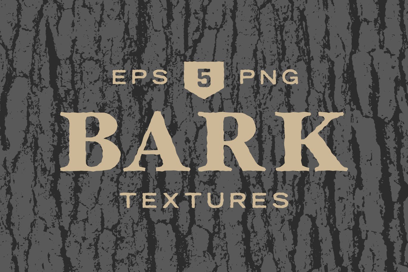 5款逼真树皮纹理肌理矢量背景素材 Tree Bark Textures
