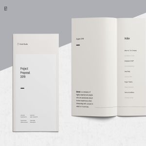 简约时尚设计风格招标书/投资商业计划书设计模板 Proposal