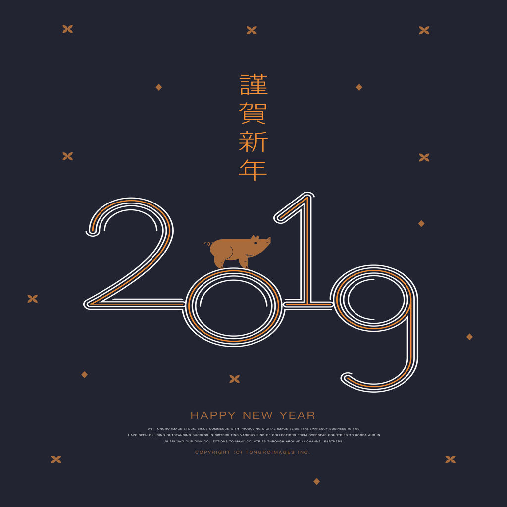 2019猪年创意图形与数字海报模板合集 PSD