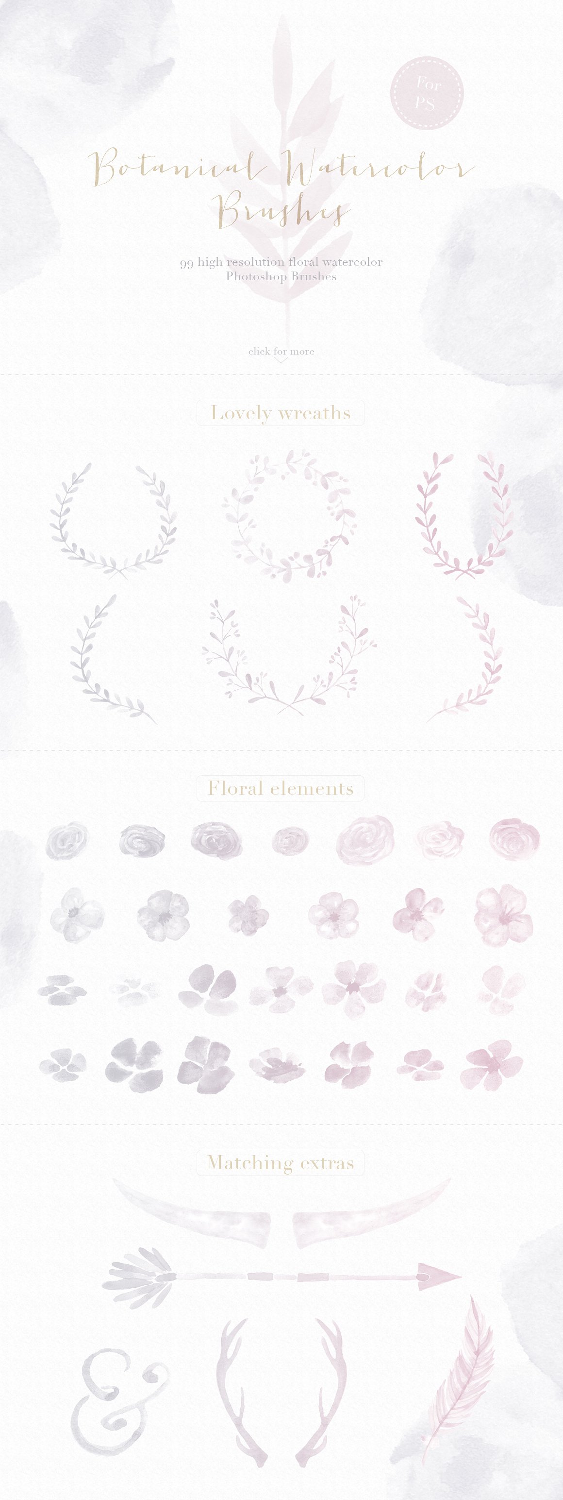 浅灰暗色调花卉元素Photoshop笔刷 Floral Watercolor Photoshop Brushes