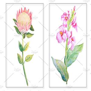 手绘水彩热带叶状花素材 Watercolor Tropical Foliage Flowers插图3