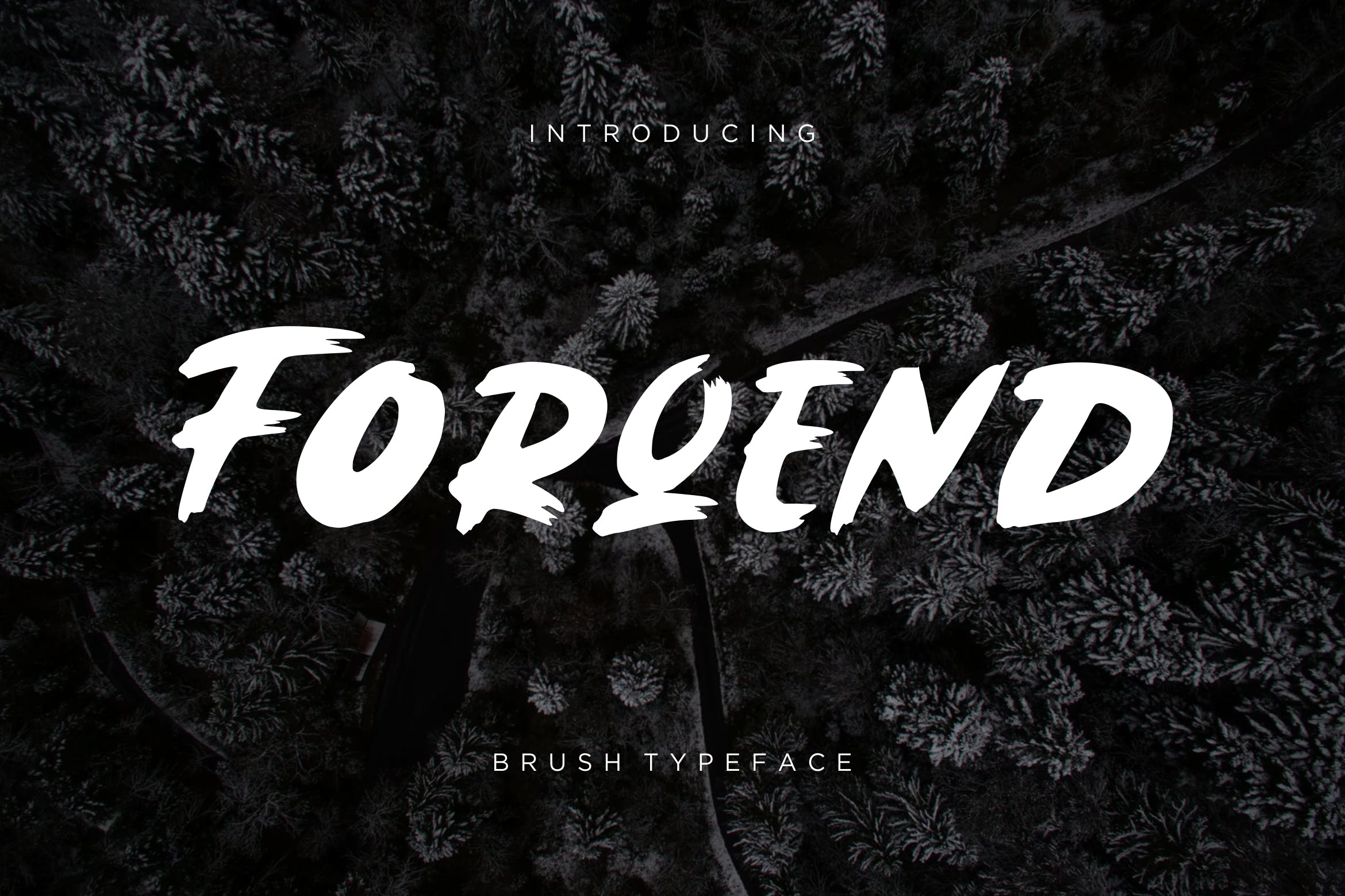 圆润厚实英文笔刷字体下载 Forqend Brush Typeface