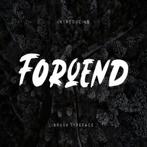 圆润厚实英文笔刷字体下载 Forqend Brush Typeface