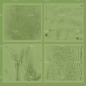 20种动物皮肤纹理 20 Animal Skins Textures – VES11
