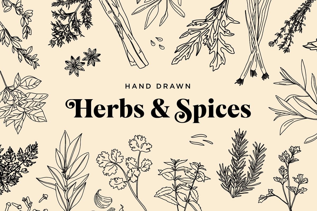 20+草药和香料手绘图案设计素材 Hand Drawn Herbs & Spices