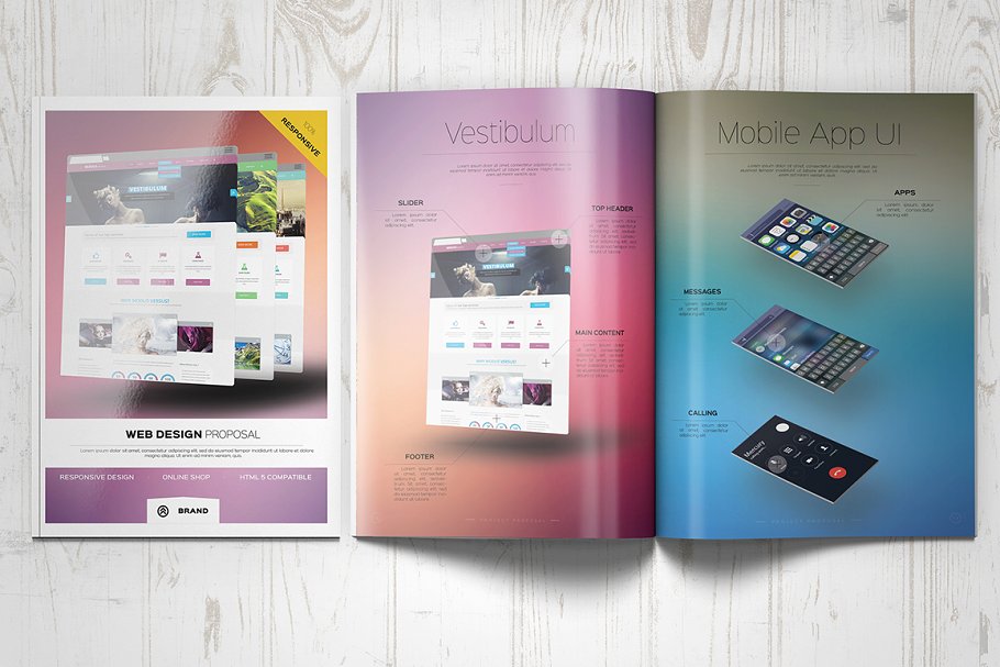 网页设计/APP设计宣传画册样机模板 Web Design Proposal