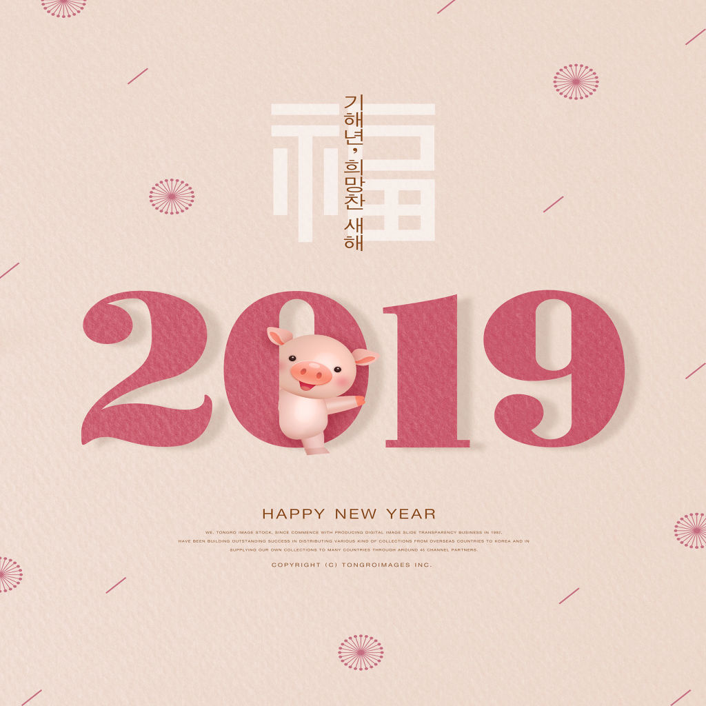 2019猪年创意图形与数字海报模板合集 PSD