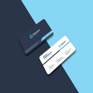 圆角双色设计风格公司名片设计模板 Business Card