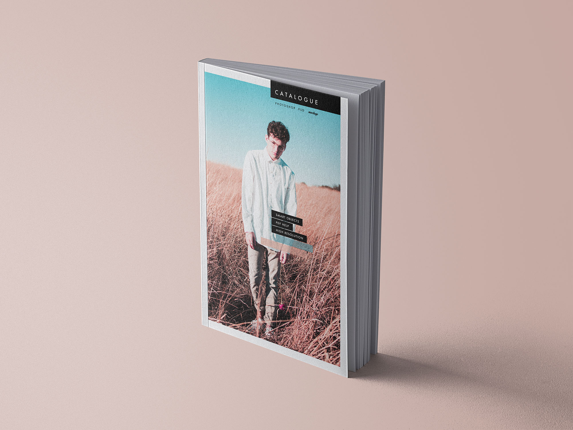 产品目录画册设计印刷效果样机 Catalogue Book Mockup